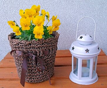 Lantern flower pot shopping cart photo
