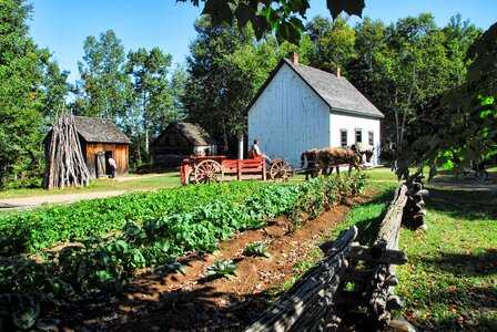 Farming house harvest