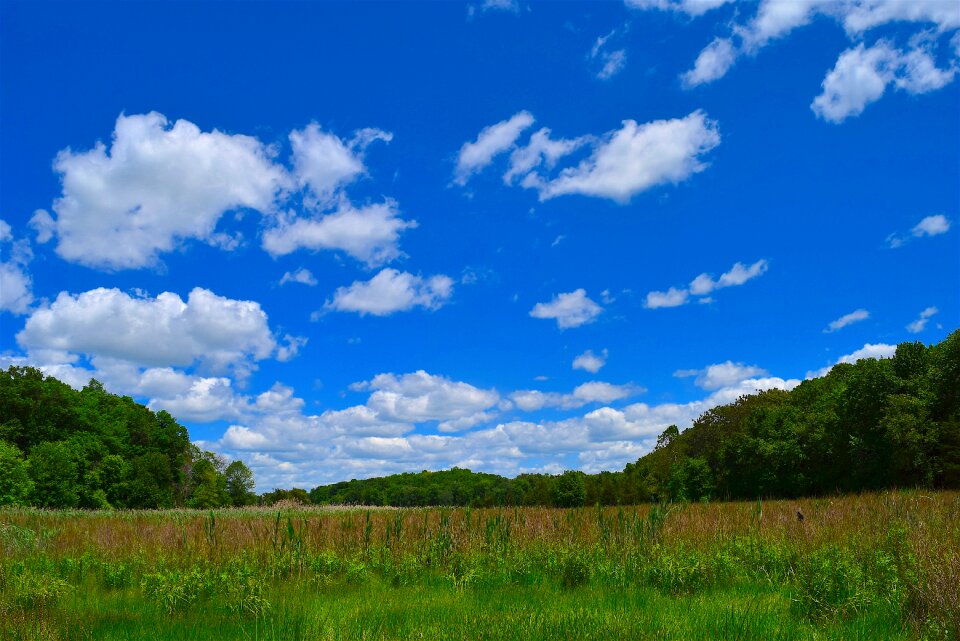 Blue nature landscape photo