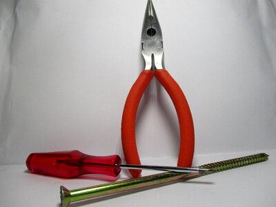 Caliper screwdriver screw