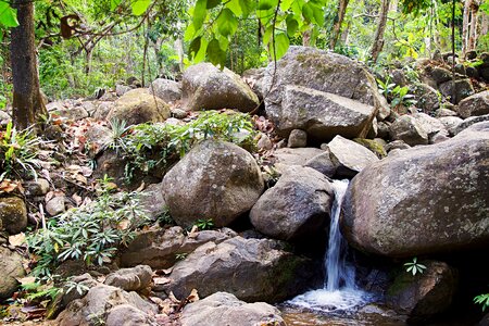 Nature stones waterfall photo