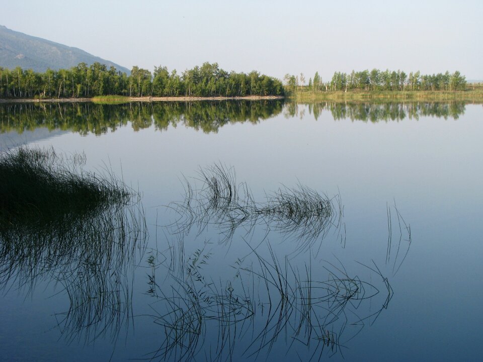 Beach lake grass photo