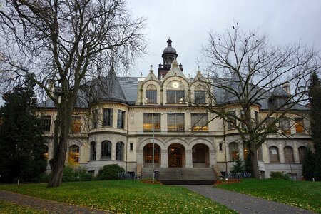 Old tree house haunted house