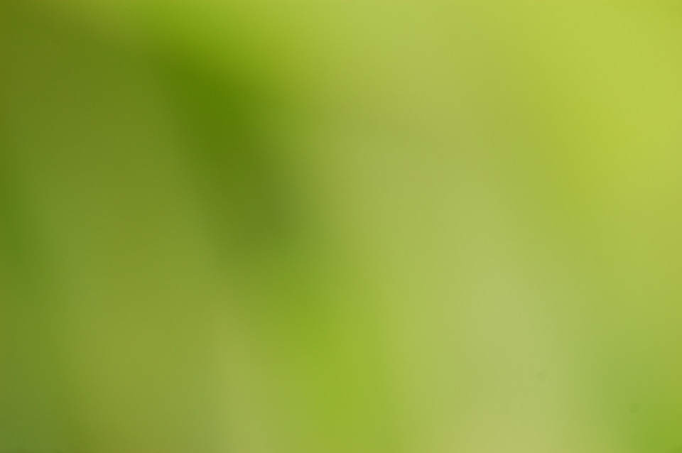 Blurred color colour