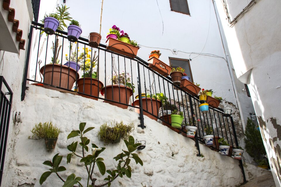 Chulilla balcony plants