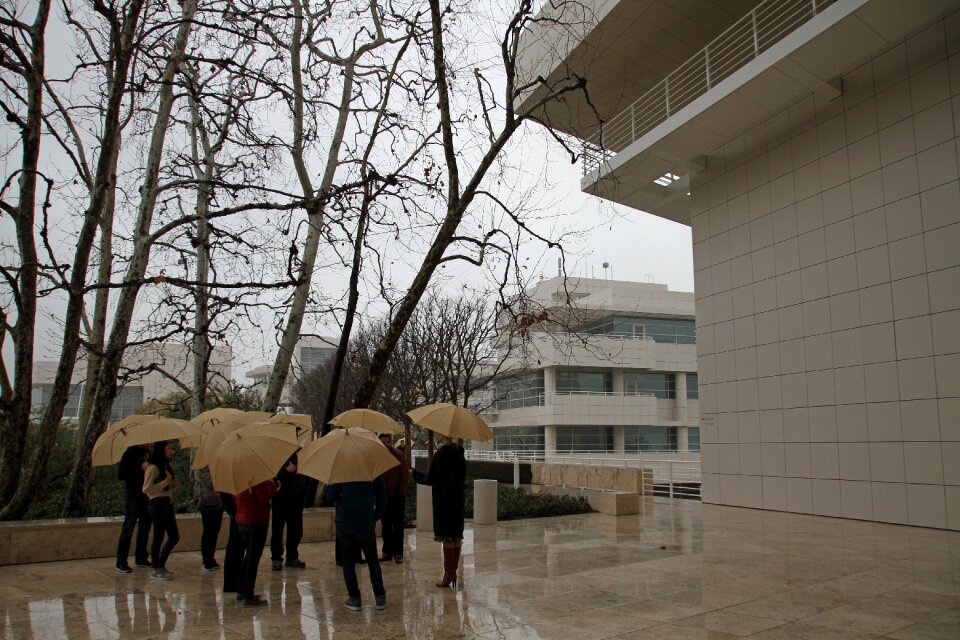 Architecture building rain