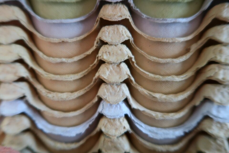 Egg carton graphically abstract