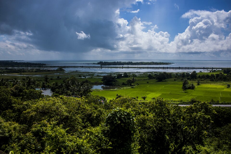 Water forest sky photo