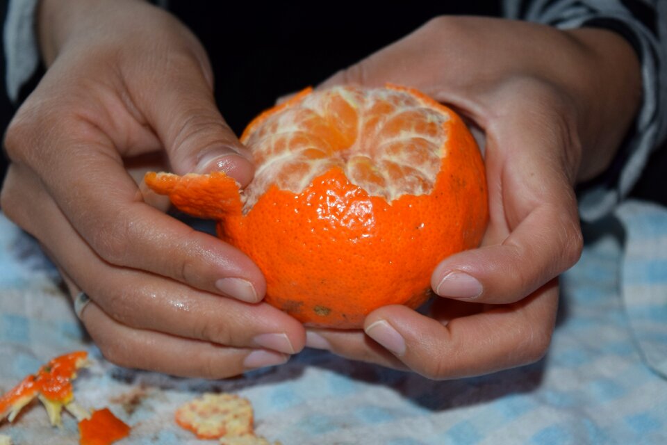 Shell hands fruit