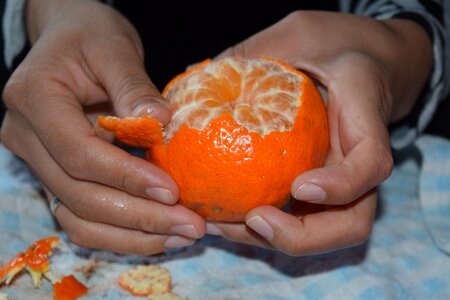 Shell hands fruit