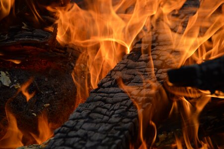 Flame wood fire brand