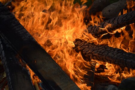 Heat wood fire campfire photo