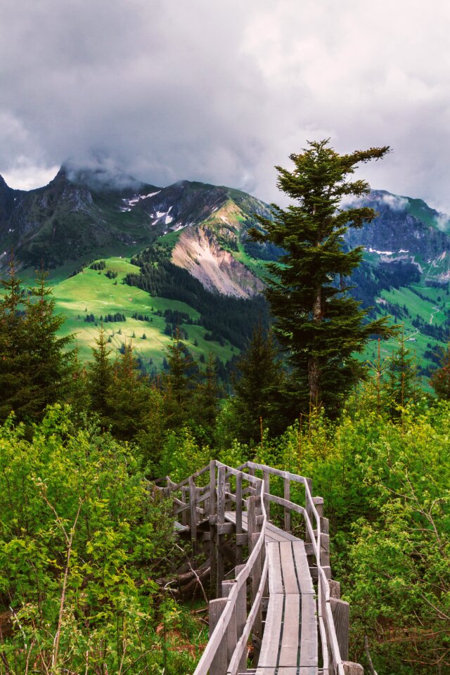 Mountains wood boardwalk