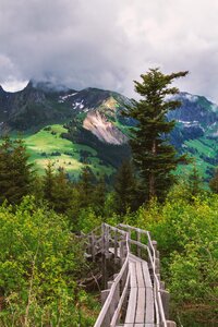 Mountains wood boardwalk