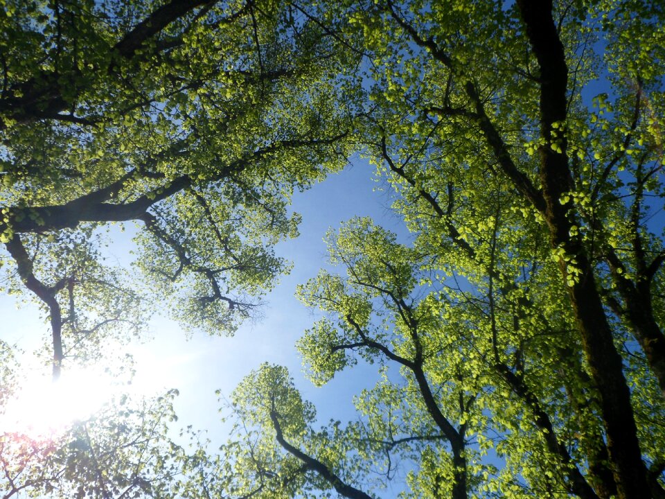 Aesthetic sky nature