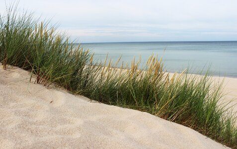 The coast of the baltic sea sand grass photo