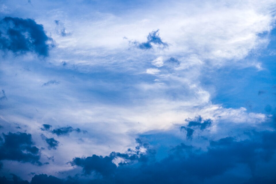 Nature summer blue sky