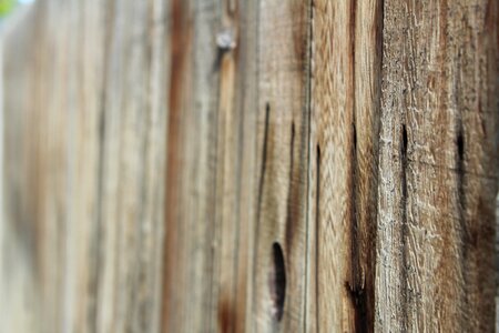Texture wood background grungy photo