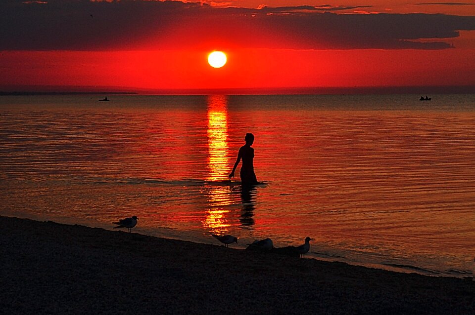 Summer water sand photo