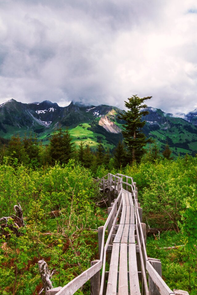 Mountains wood boardwalk