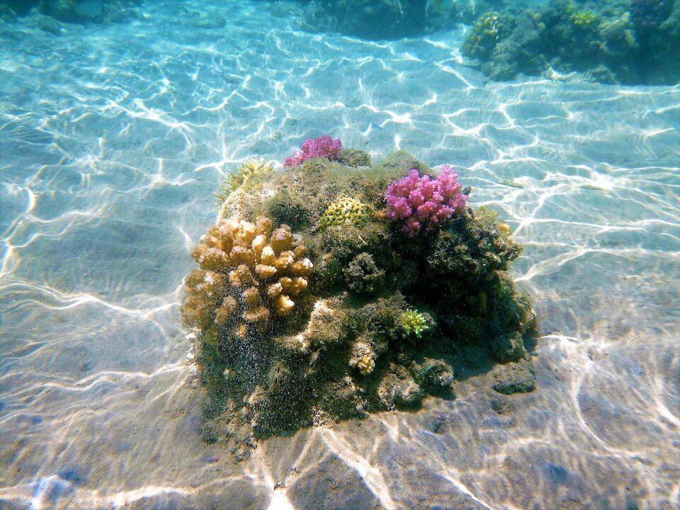 Cay underwater seabed