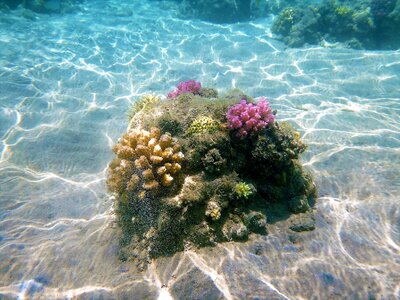 Cay underwater seabed