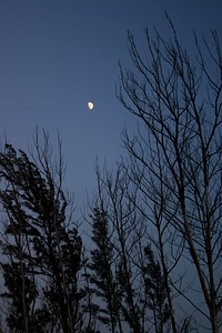 Moon sky dusk