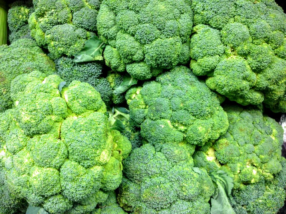 Food vegetable green