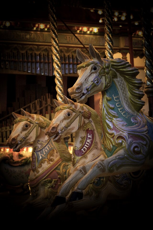 Carnival amusement ride