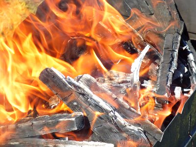 Mangal on the nature vacation