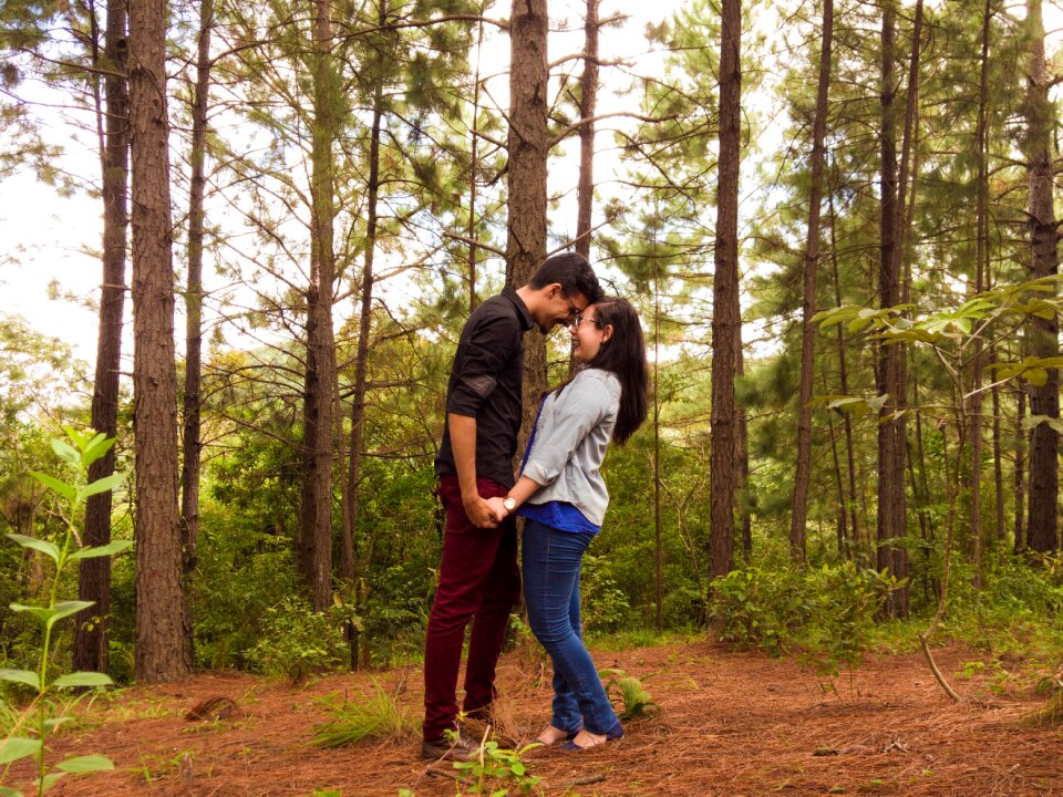 Natural light forest casal