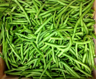 Vegetable vegetarian fresh