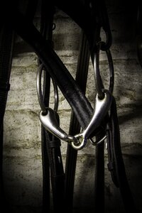 Equine sport stable