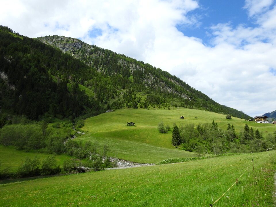 Forest nature landscape