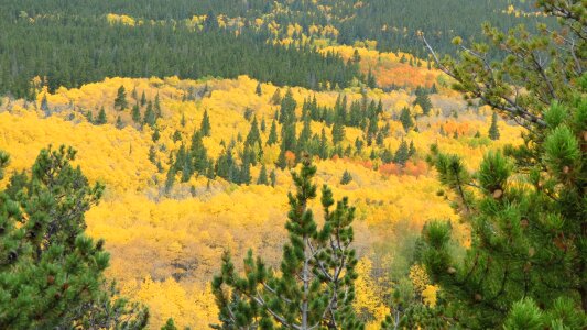 Park autumn scenery