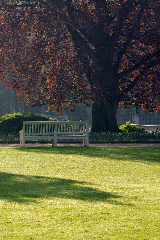 Shadow rest relaxation photo