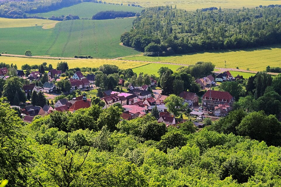 Village fields forest