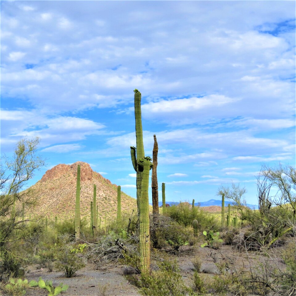 Landscape sky