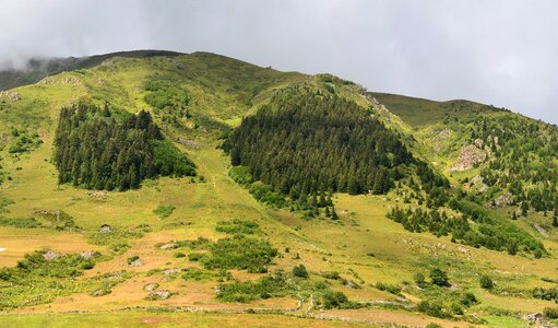 Kaçkars nature green