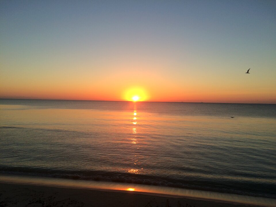 Paradise coastline beach