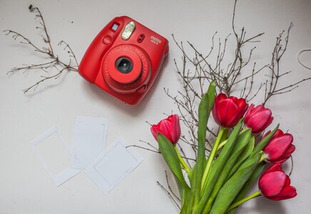 Polaroid camera tulip