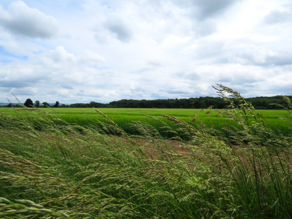 Rural landscape farm photo