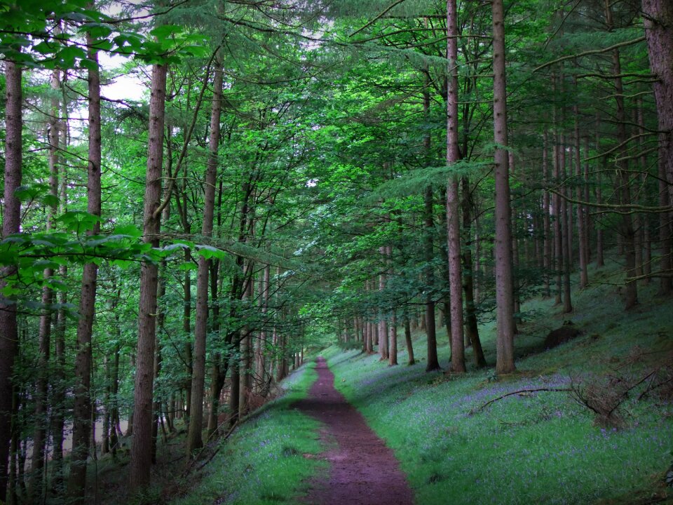 Nature travel hiking