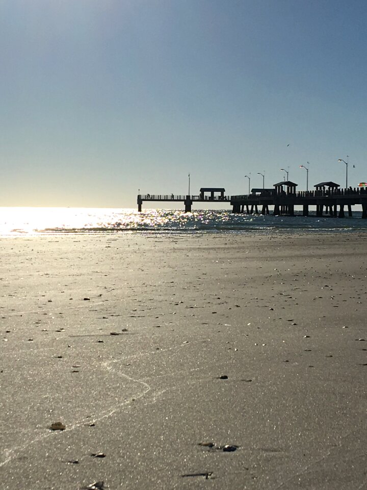 Fishing pier nature