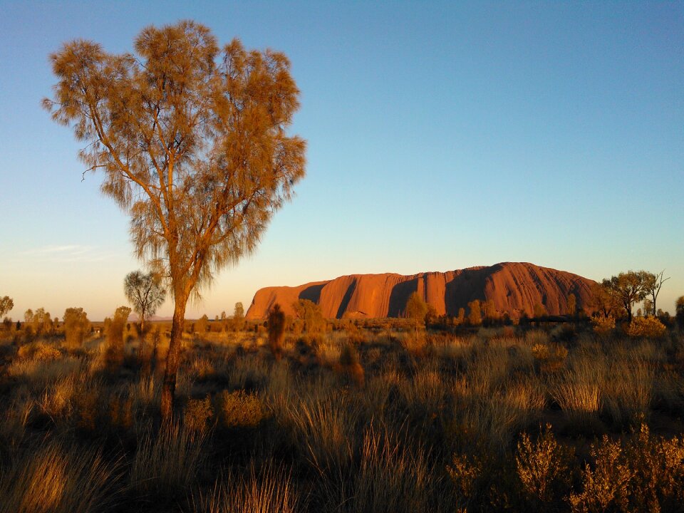 Uluru ayers rock sunrise