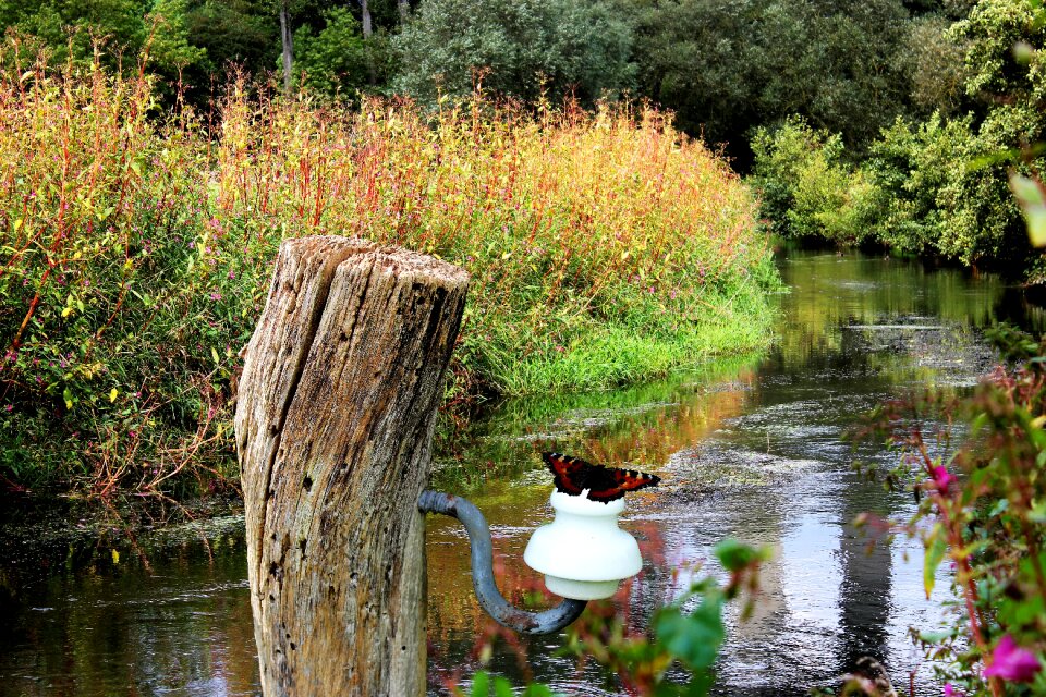 River landscape warburg