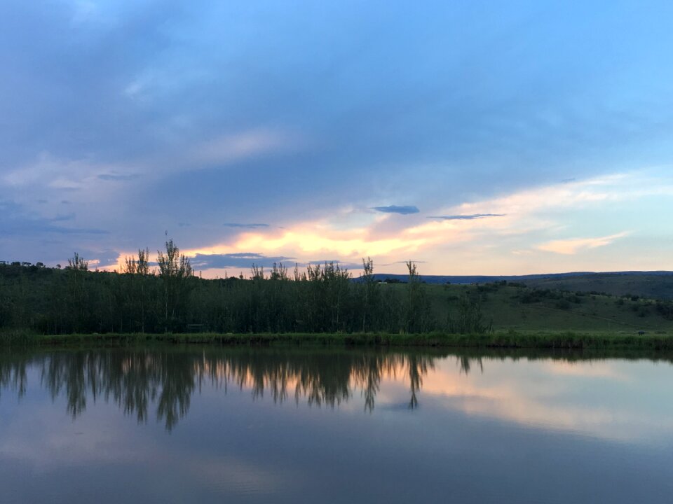 Dam water nature