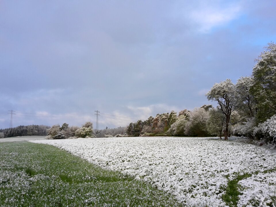Nature meadow april weather