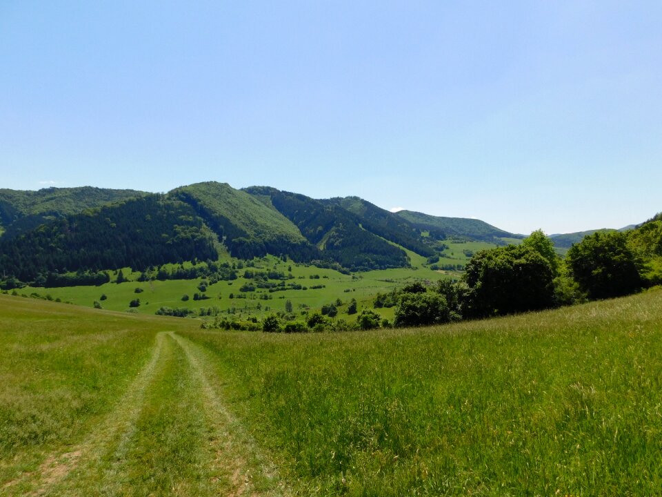 Mountain spring mountains