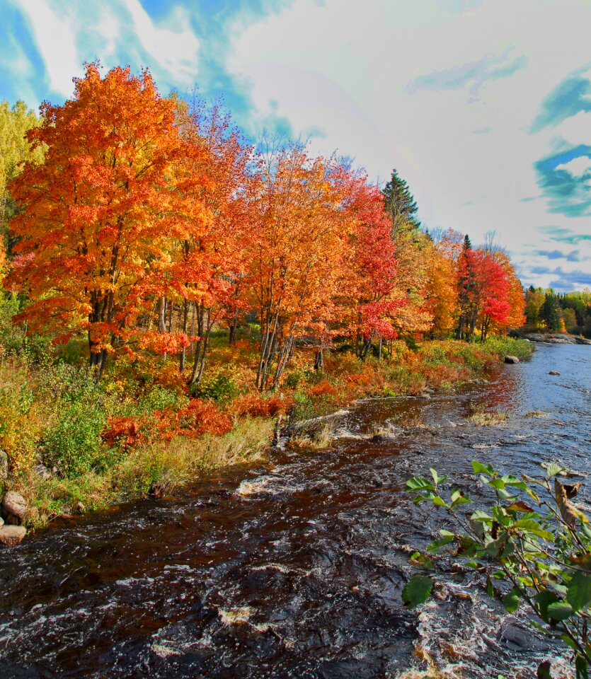 Colours canada orange photo